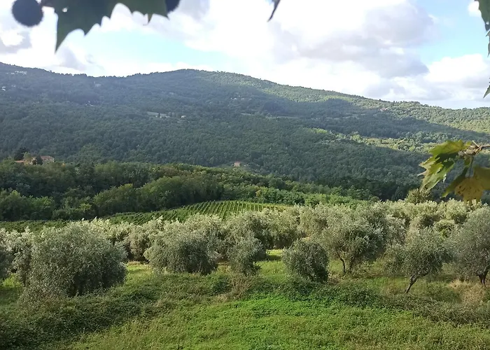 La Casetta Di Campagna Nel Chianti