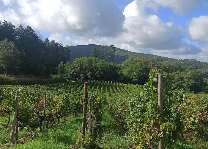 דירה La Casetta Di Campagna Nel Chianti *