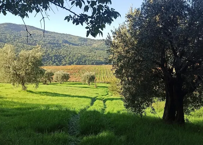 דירה La Casetta Di Campagna Nel Chianti *
